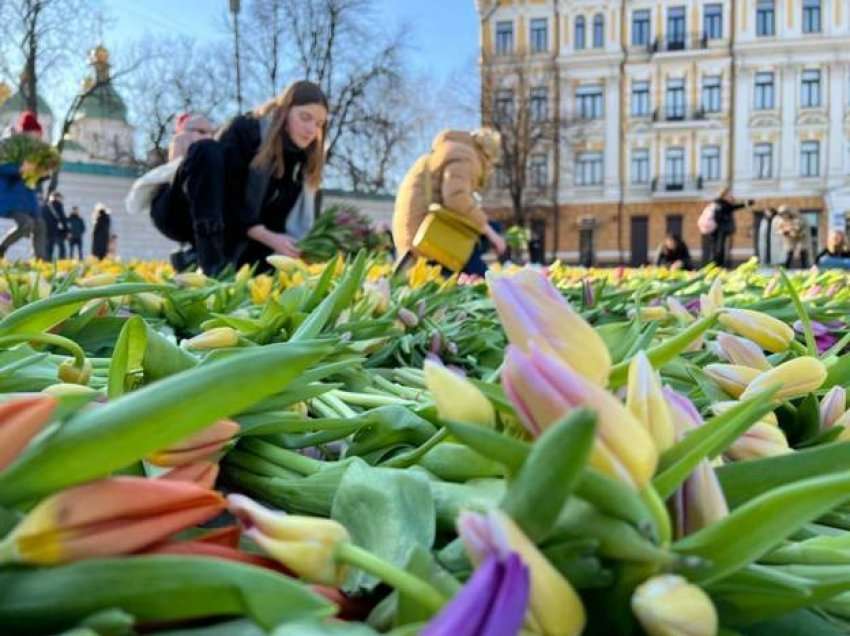 Sheshi i Kievit mbulohet me dy milionë tulipanë