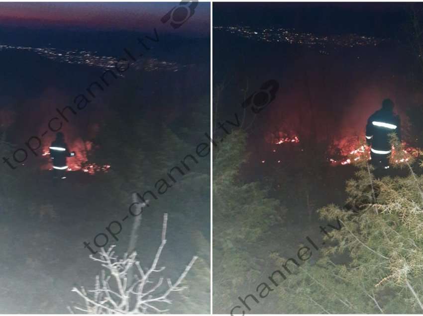 Bie zjarr në një pyll në fshatin Shushicë të Elbasanit