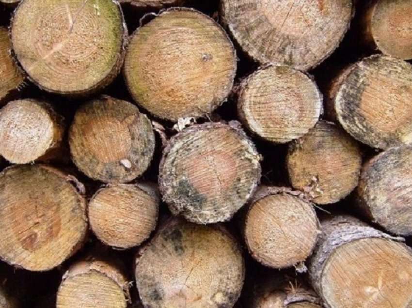 Arrestohet një 50-vjeçar në Gostivar, transportonte dru në mënyrë ilegale
