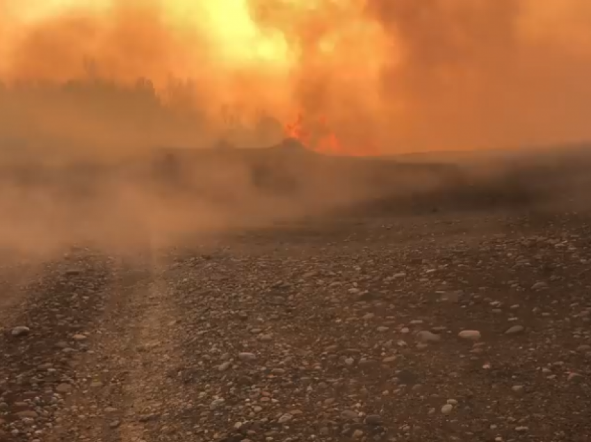 Zjarri po djeg sipërfaqe të mëdha në malet e Gramshit, situata shumë serioze