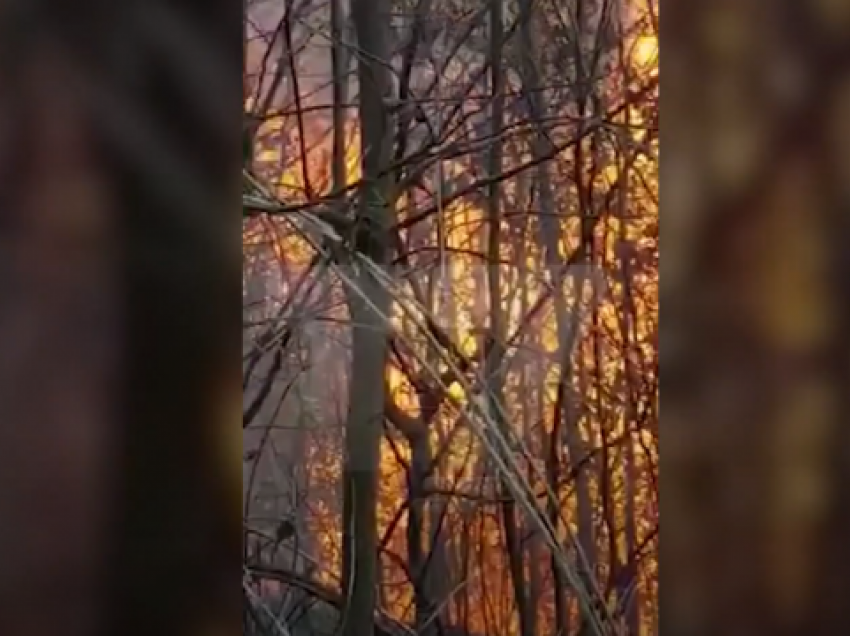 Zjarr në disa fshatra të Kamenicës, një person i dyshuar