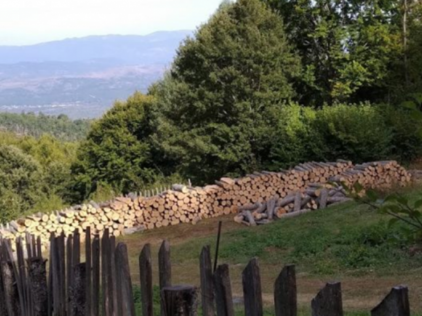 Maqedoni, prerja ilegale e drurit ka shkaktuar dëme të mëdha në pyje