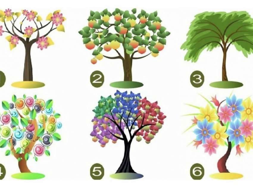 Zgjidhni një pemë dhe zbuloni 2 karakteristikat më të forta të personalitetit tuaj