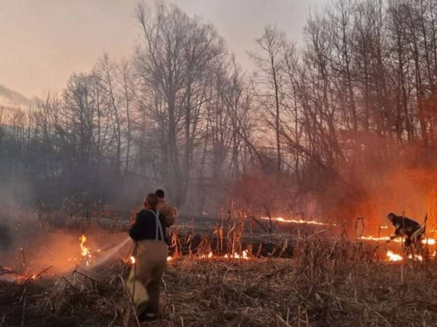 Lokalizohet zjarri në Drenovec të Tetovës, duke mos lejuar që të afrohet te shtëpitë