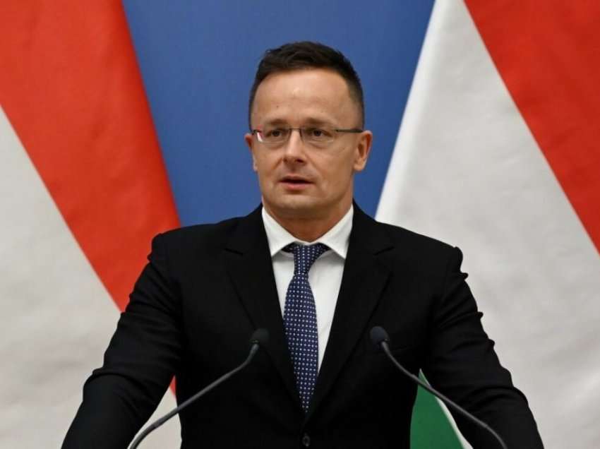 Hungaria akuzon Ukrainën për ndërhyrje në zgjedhjet e ardhshme