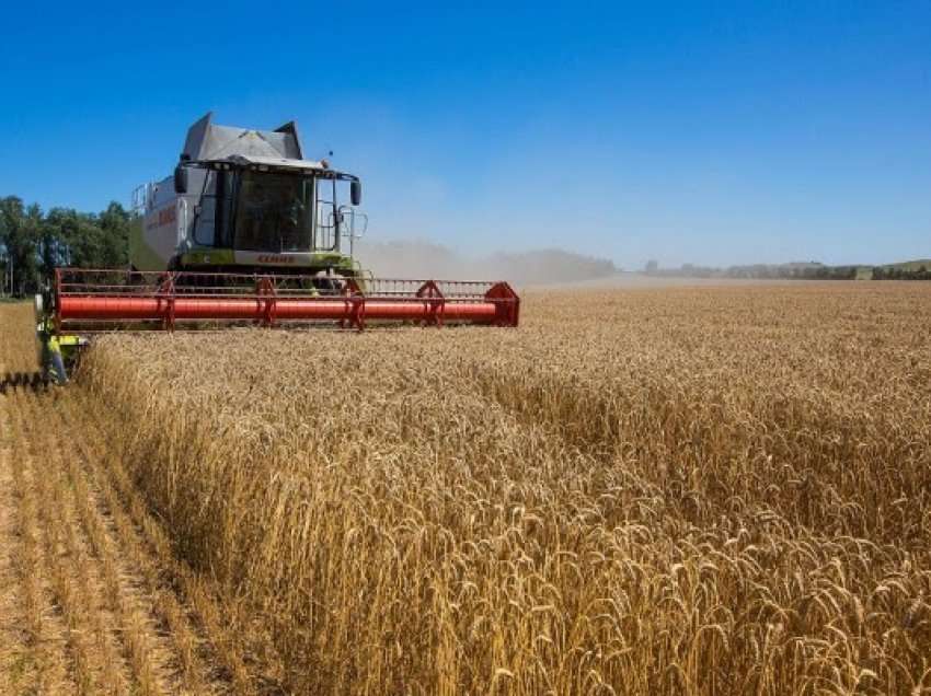 Ukraina mund të mos eksportojë grurë këtë vit, thotë një burim i qeverisë franceze
