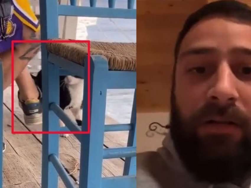Pamje/ Shkelmoi dhe hodhi në det një mace, policia greke arreston shqiptarin - reagon ministri grek