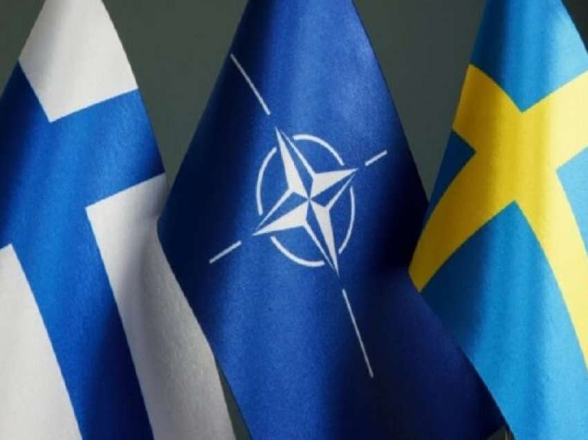 ​Finlanda e Suedia do të blejnë armë së bashku
