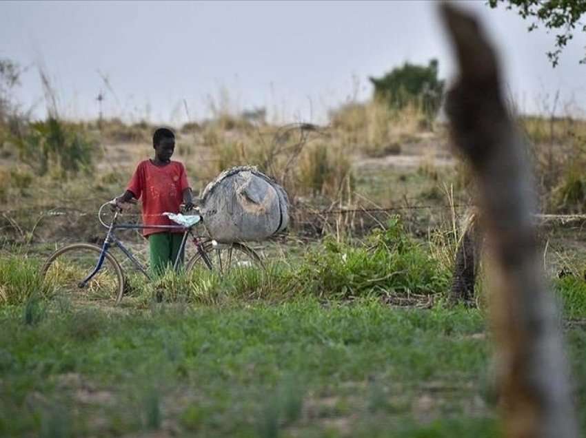 OKB: 18 milionë njerëz në rrezikun e pasigurisë ushqimore në rajonin Sahel të Afrikës