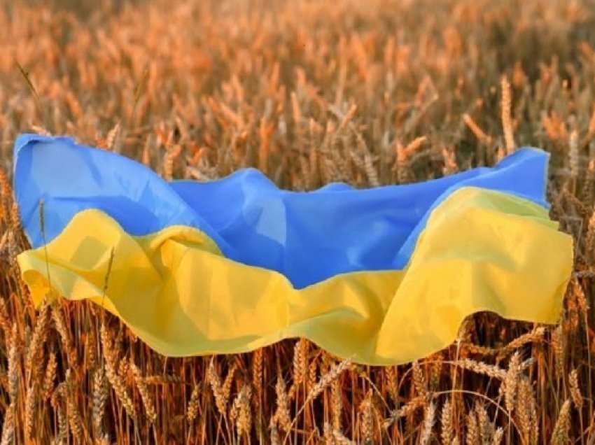 ​Scholz premton të punojë aktivisht për mundësimin e eksportit të drithërave nga Ukraina