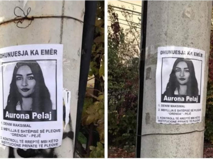 Posterë me fotografinë e Aurona Pelajt, Rrusta e PSD-së kundër: A ta varim në shesh?