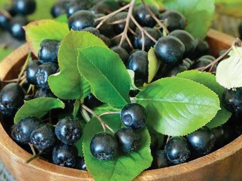 Fruti medicinal më i pasur me antioksidantë, zgjidhje për diabetin
