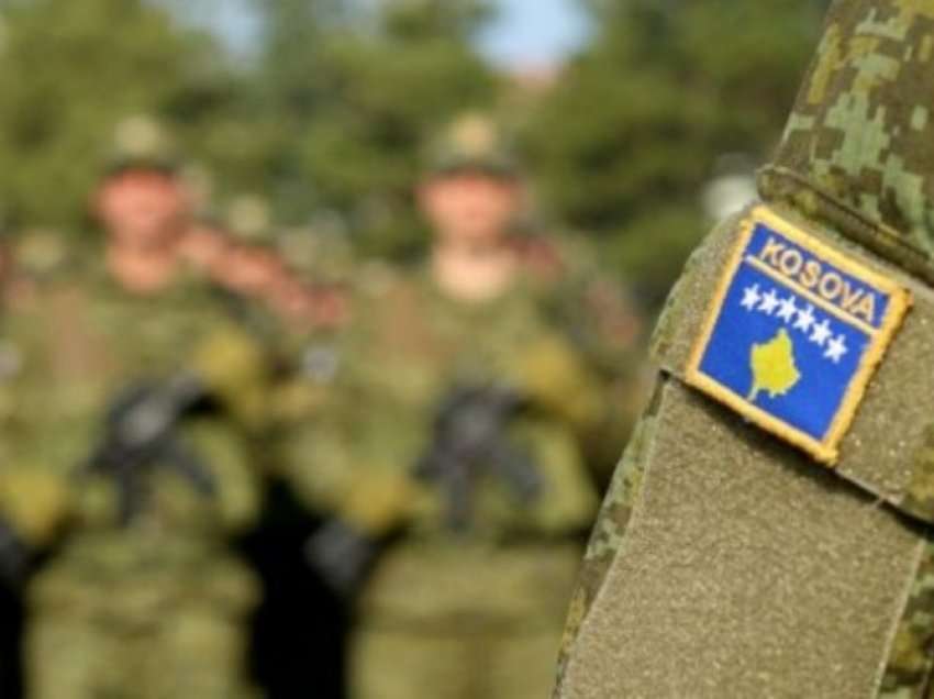 Për një vit 140 policë e 70 ushtarë braktisën vendet e punës