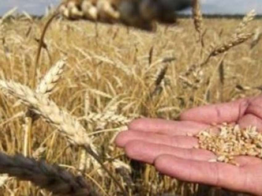 ​Shefi i OKB-së mirëpret marrëveshjen për të vazhduar marrëveshjen e grurit të Detit të Zi