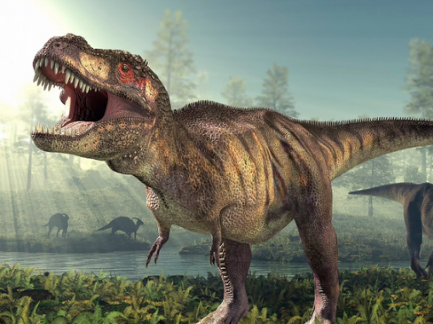 Studiuesit bëjnë zbulimin e frikshëm: “Mbreti” i dinozaurëve peshon 70% më shumë nga sa mendohej