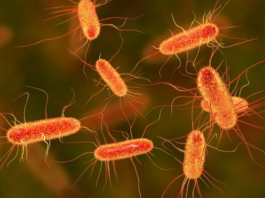 Këto janë bakteret më të rrezikshme në botë