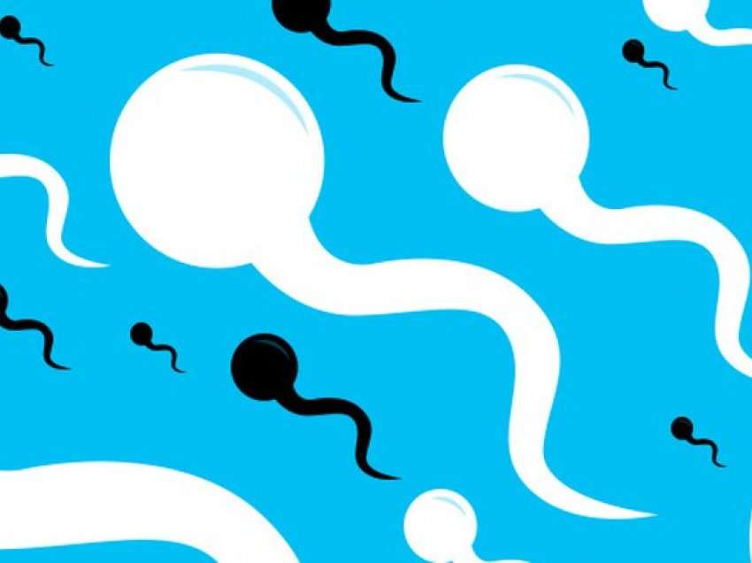 Disa mite për spermën, të cilat thjesht nuk duhet t’i besosh më