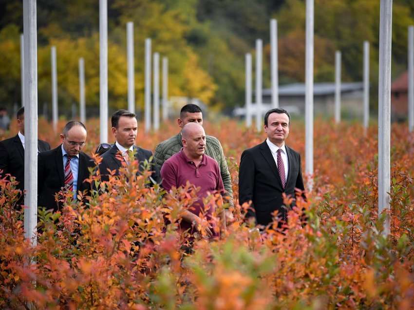 Kurti: Qeveria e Kosovës ndihmon e mbështet, kurse fermerët mbjellin, vjelin e korrin
