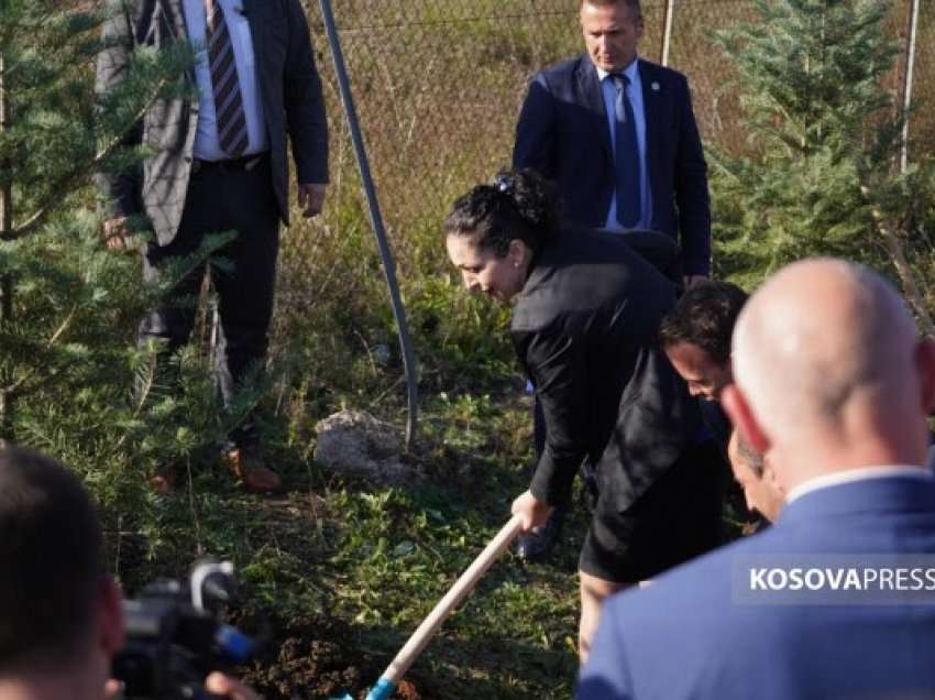 ​Mbillen rreth 500 drunjë, Osmani: Çështja e mbrojtjes së ambientit nuk është një temë luksi