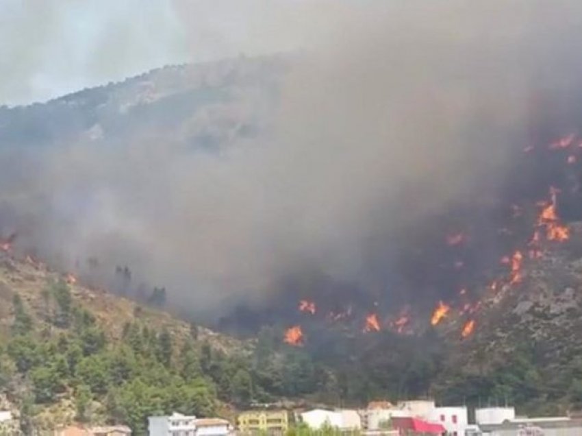Vijojnë zjarret në Vlorë, digjen mbi dhjetë hektarë me pemë dhe rrezikohen banesat