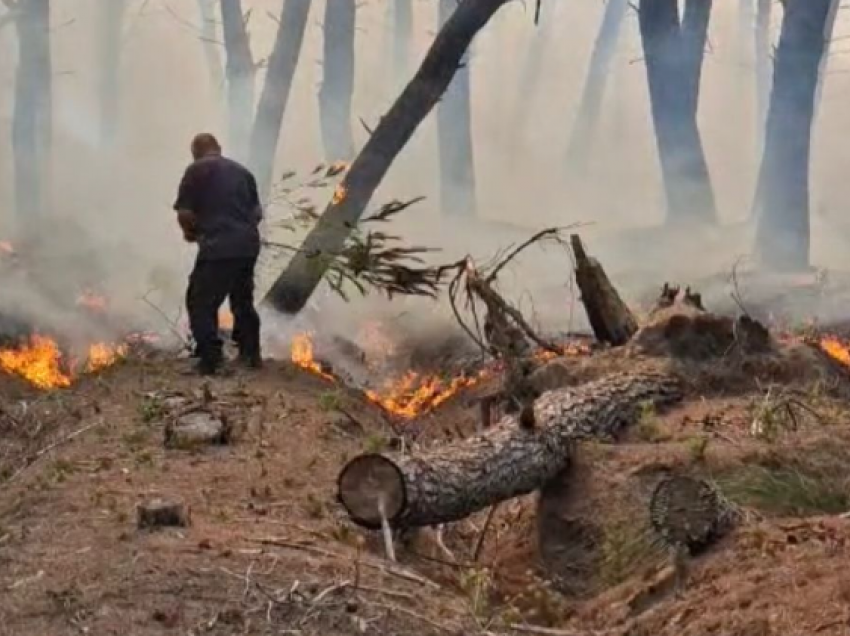 Vijon zjarri masiv në pyllin e Sodës në Vlorë, zjarrfikësit në “luftë” me flakët