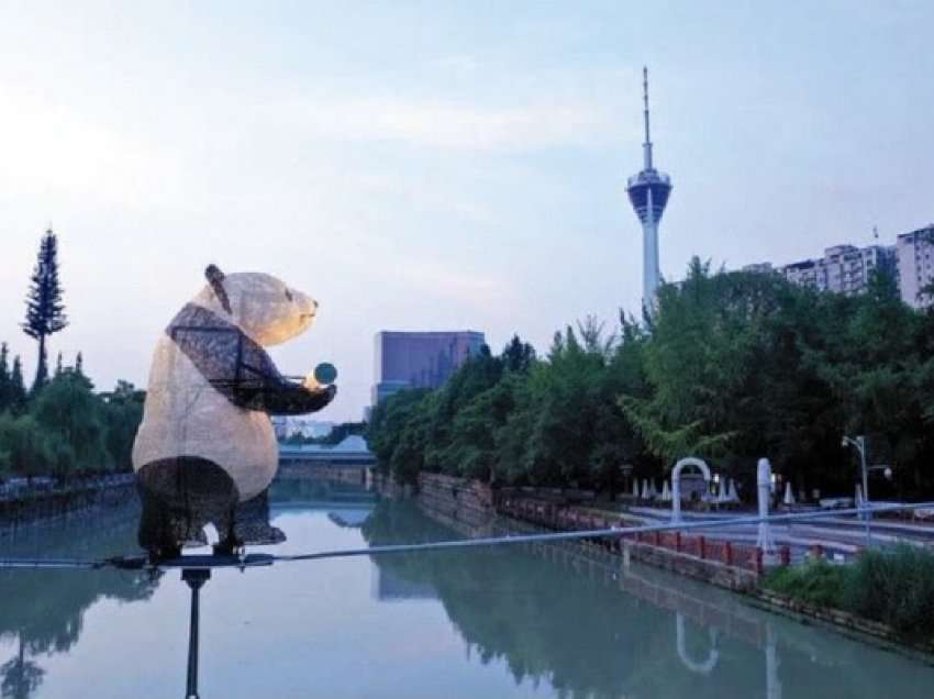 ​Kina do t’i dhurojë Katarit dy panda me rastin e Botërorit