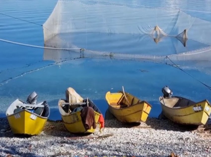 ​Liqeni i Shkodrës në karantinë, ndalohet kategorikisht peshkimi i krapit dhe gjuhcës