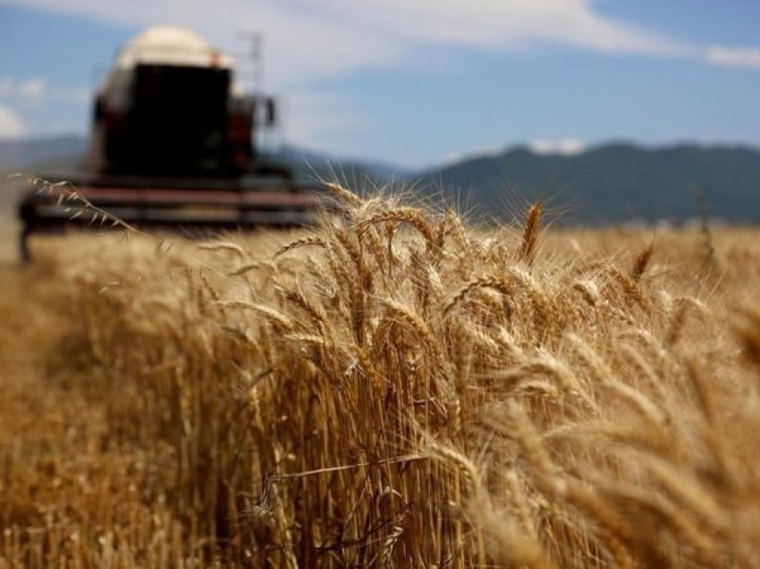 Eksporti i grurit, Rusia: Marrëveshja mund të zgjatet nëse Perëndimi heq sanksionet