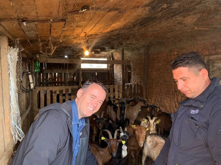 Ministri Peci viziton fermerët, bujqit dhe blegtorët e Kçiqit të Mitrovicës