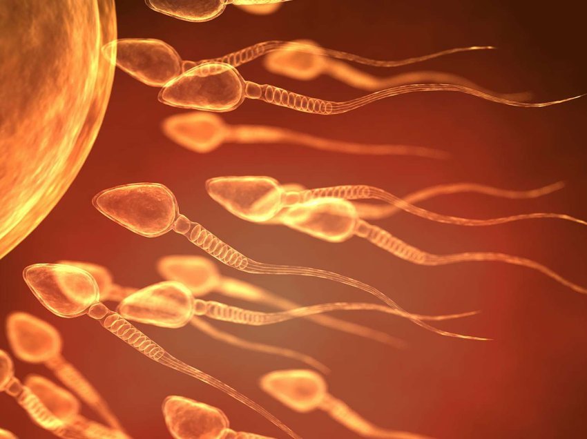 Zbulohet geni që mund të shërbejë si kontraceptiv mashkullor