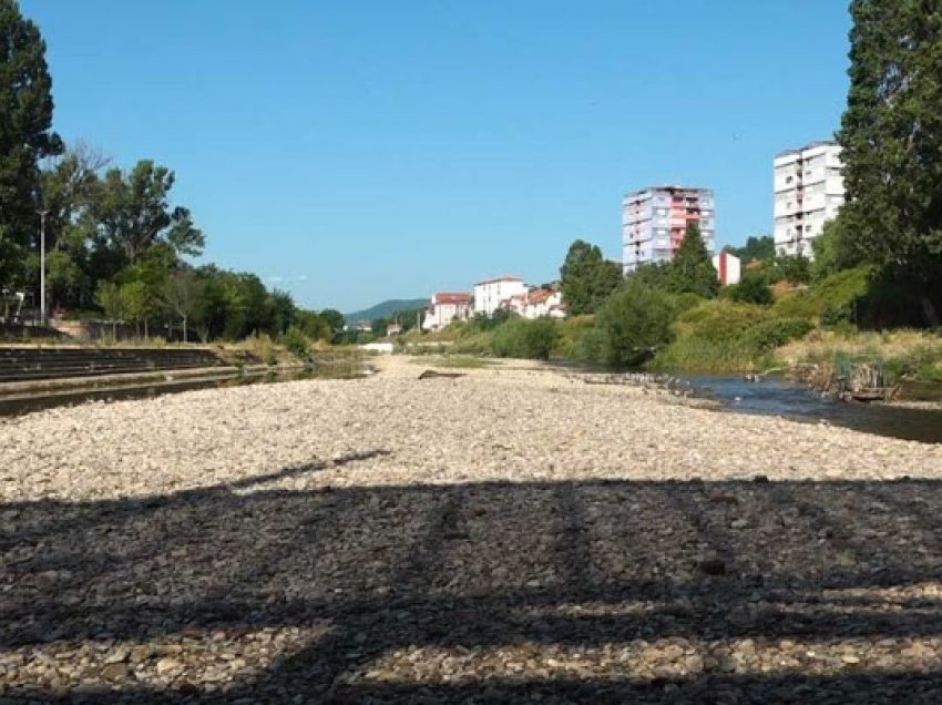 Shterja e Ibrit, Zogiani: Shkaktare kompania që s’respektoi kriteret për mbrojtjen e ujërave