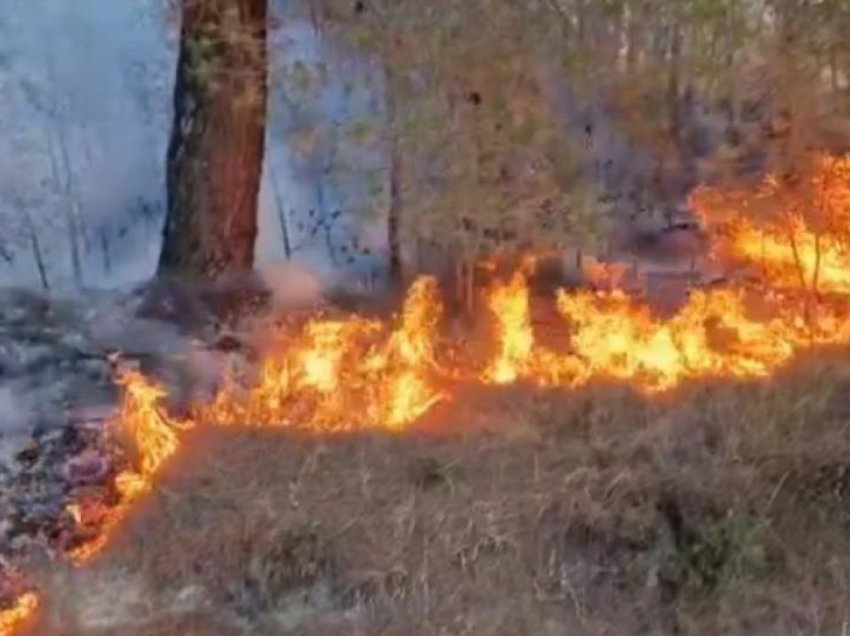 Dy zjarre të mëdha në Veles dhe Shkup