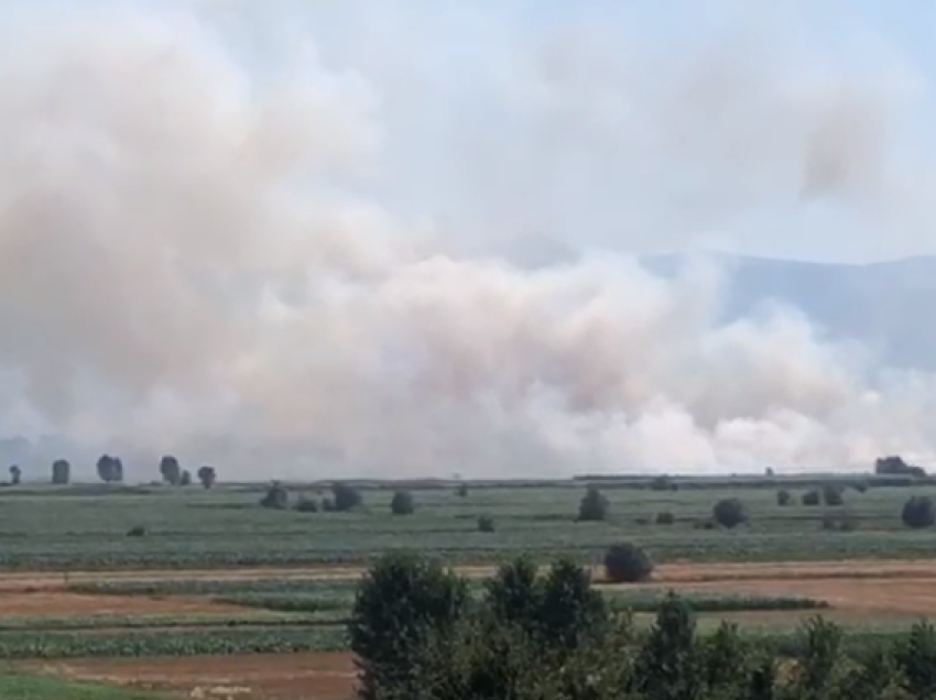 Riaktivizohet sërish zjarri në Maliq, digjen hektarë tokë në zonën torfike