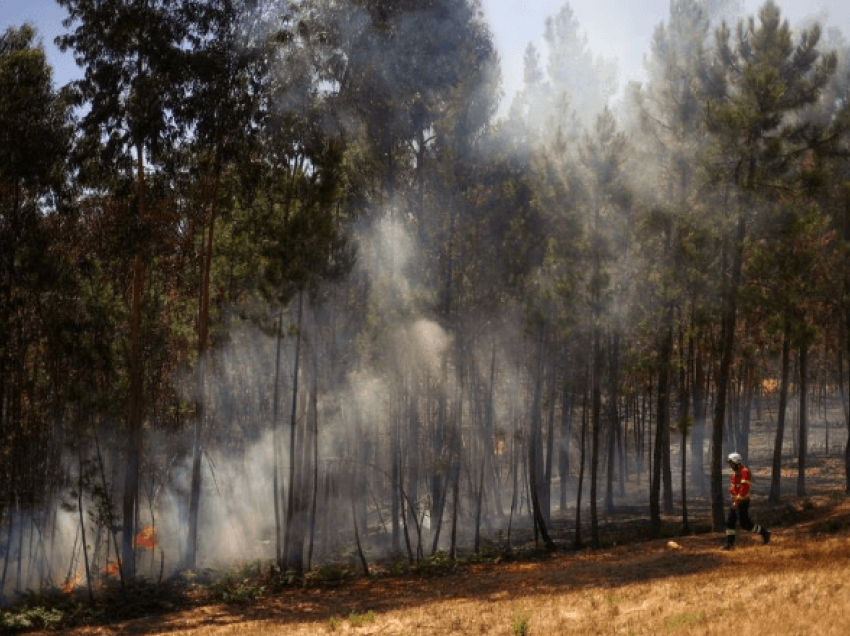 Zjarri në Portugali djeg pyjet, më shumë se 1,100 zjarrfikës në gatishmëri