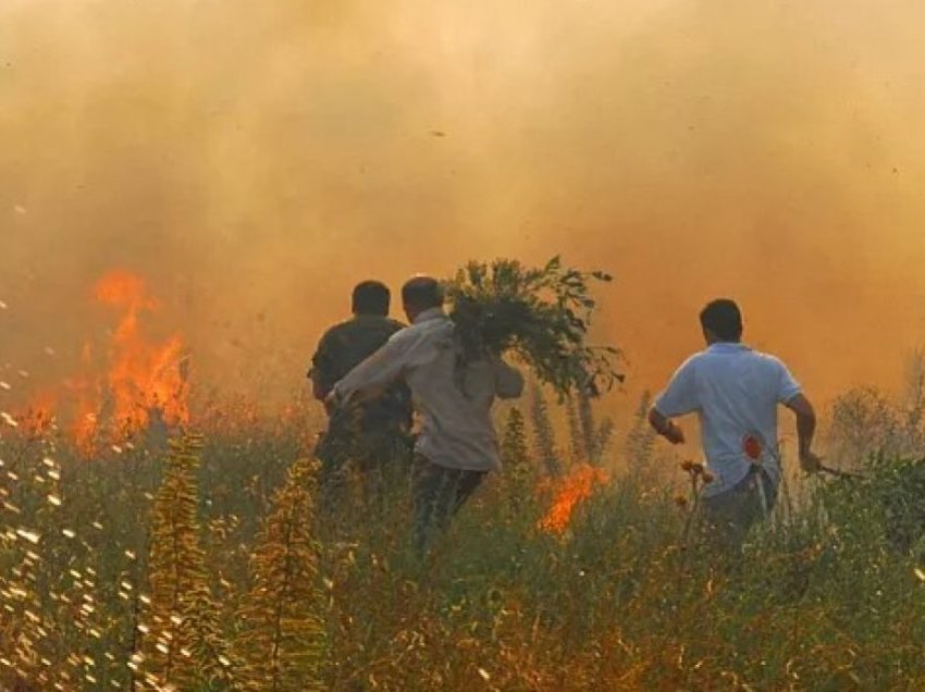 Qindra të evakuuar nga zjarret në Sardenja të Italisë – erërat e forta po komplikojnë përpjekjet për të mbajtur flakët nën kontroll