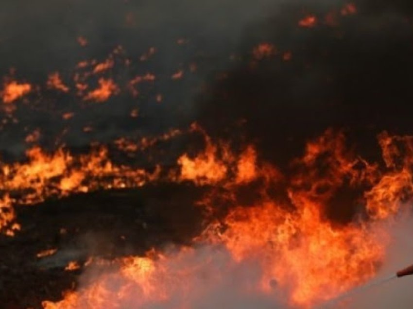 ​Portugali: Zjarri në zonën Leiria bllokon autostradën, tashmë u është afruar shtëpive