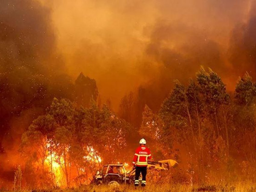 Portugali: Vetëm dy nga zjarret janë përgjegjëse për më shumë se gjysmën e sipërfaqes së djegur
