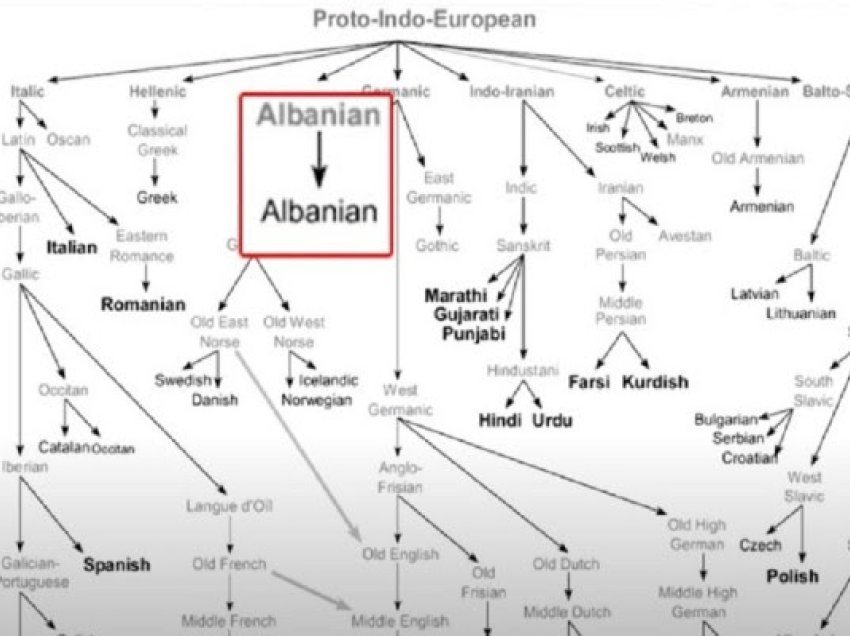 ​Shqipja mbi 6 mijë vjet e vjetër, klasifikimi ndërkombëtar ende i pakonfirmuar nga shkenca shqiptare