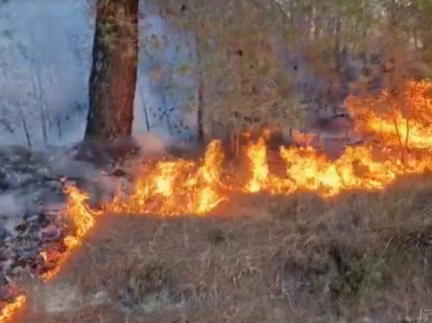QMK: Nuk ka zjarre aktive në Maqedoni
