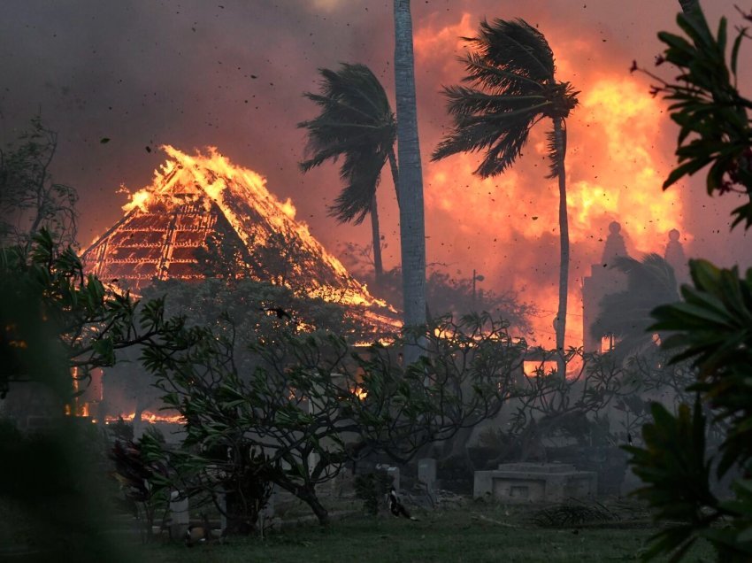 Zjarret në Hawaii, shumica e viktimave e para të identifikuara janë mbi moshën 70 vjeç