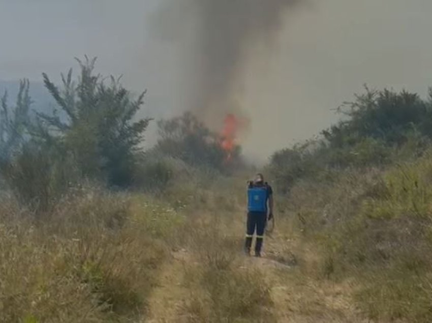Ndezën zjarr për të djegur shkurret, por dogjën një sipërfaqe të madhe toke, dy të proceduar në Elbasan
