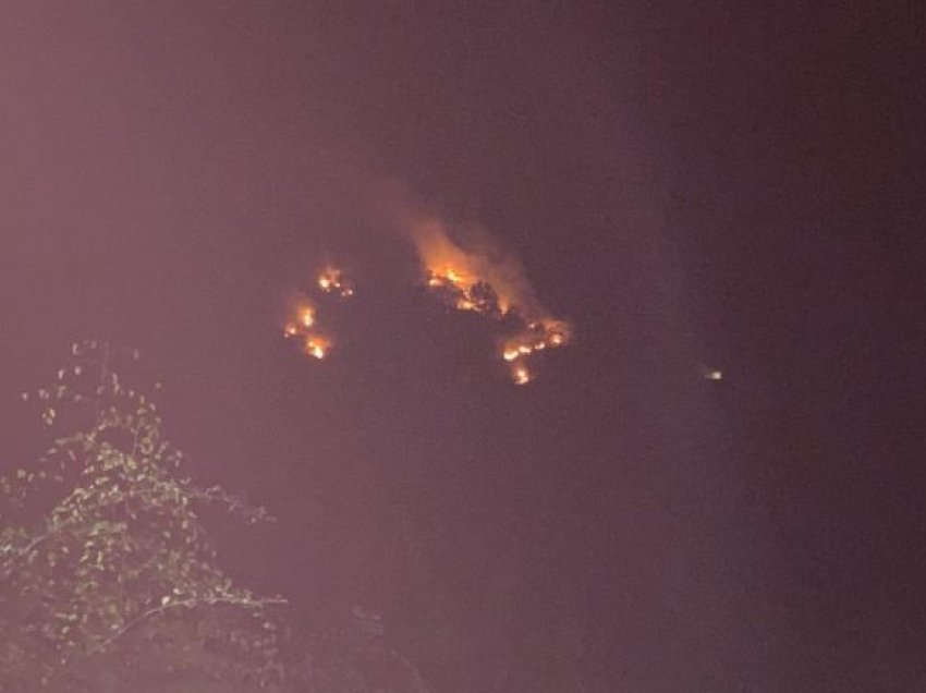 Toka pranë fshatit në Gjirokastër përfshihet nga flakët, zjarri shkrumbon 2 hektarë kullota