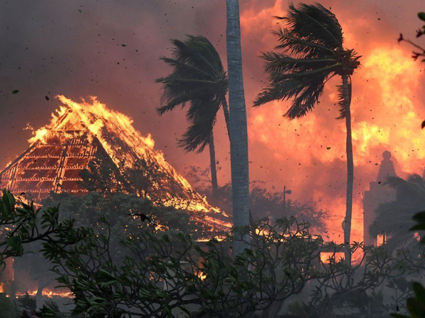 Zjarret në Hawaii, 115 të vdekur dhe 1100 të zhdukur