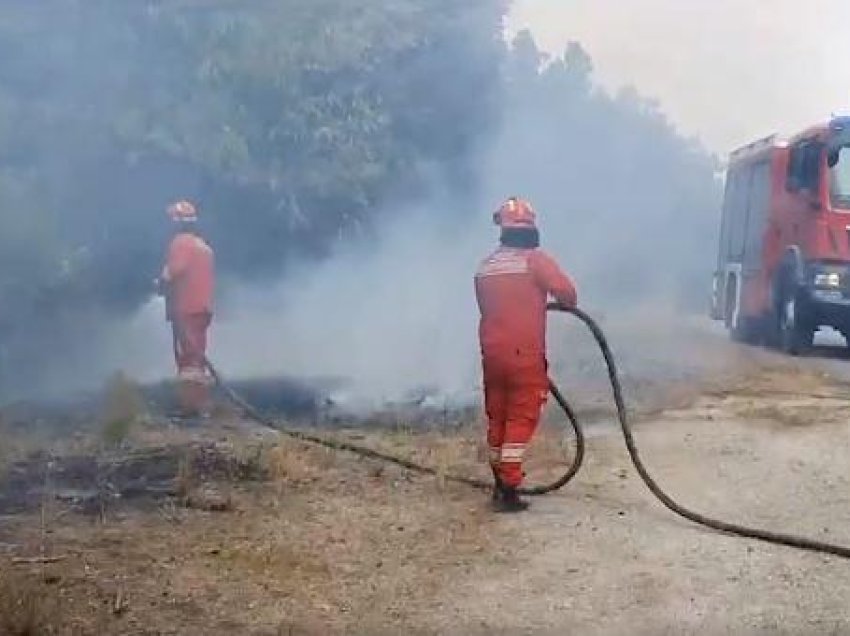 Zjarrfikësit shqiptarë luftojnë me zjarret në Greqi, reagon Rama