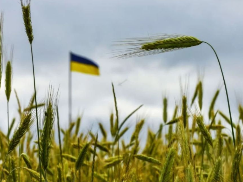 Turqia: Nuk ka zgjidhje tjetër për eksportin e grurit përveç marrëveshjes origjinale Ukrainë-Rusi