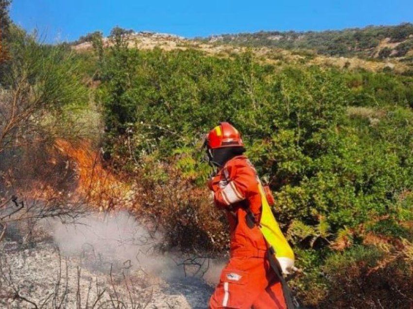 Zjarri në malin e Shpiragut, Peleshi: Ndërhymë nga ajri, flakët drejt izolimit të plotë