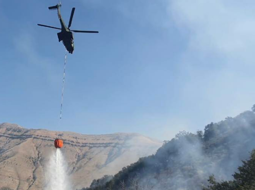 Situata me zjarret në vend, Peleshi: Shuhen 10 vatra gjatë 24 orëve të fundit, ç’po ndodh në Shpirag?
