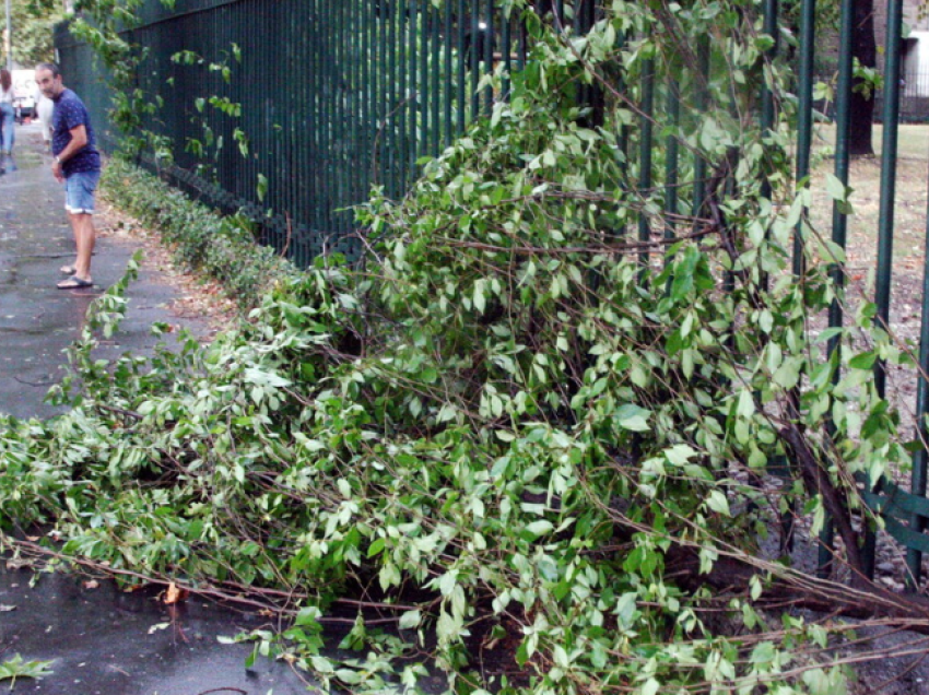 Milano ‘goditet’ nga moti i keq/ Pemë të rrëzuara përtokë dhe dëmtime nëpër shtëpi