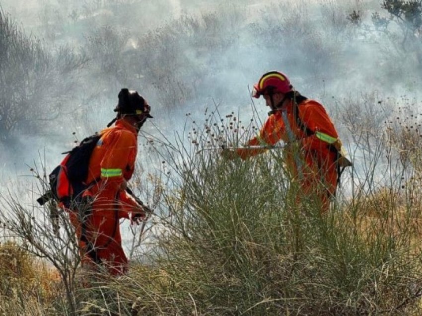 ​Shuhen 10 vatra zjarri në 24 orët e fundit në Shqipëri