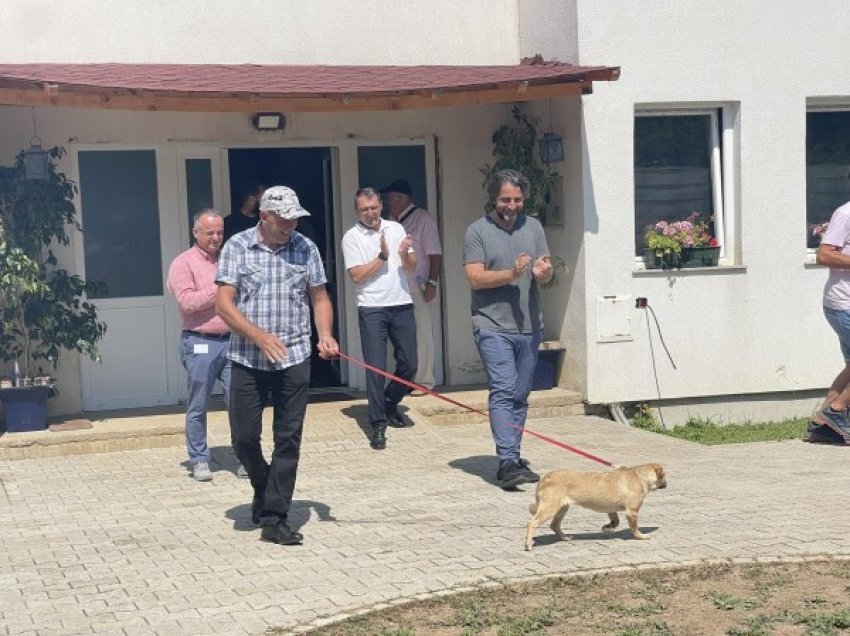 ​Nisin adoptimet e para të qenëve endacakë në Prishtinë, Rama: investuam më shumë se Qeveria